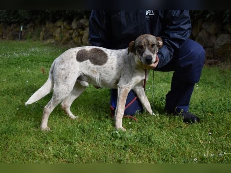 Helder - spricht für sich