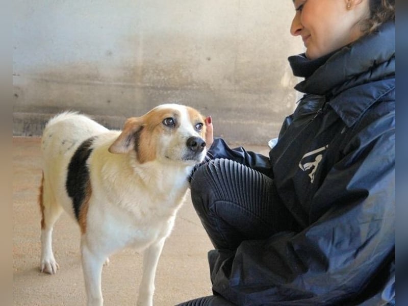 Elpidius - Ein Ziel ohne Plan bleibt nur ein Wunsch