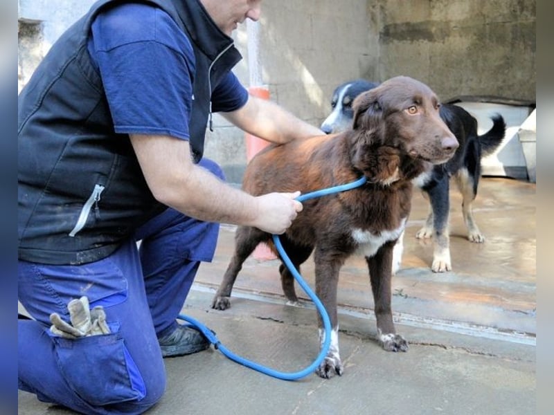 Beckey - Berufswunsch Prinzessin