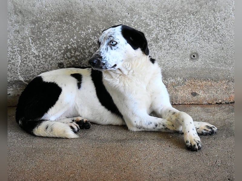 Nyxiel - Die schönsten Augen
