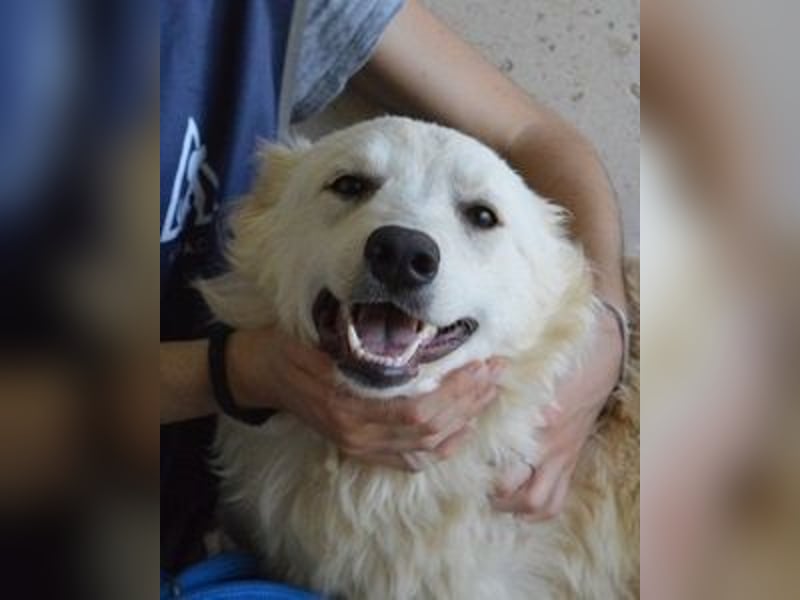 Sadye - Liebevolle Zuwendung....