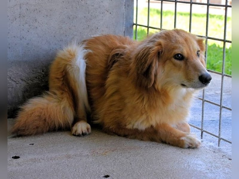 Jonathen - Die Flucht in mir