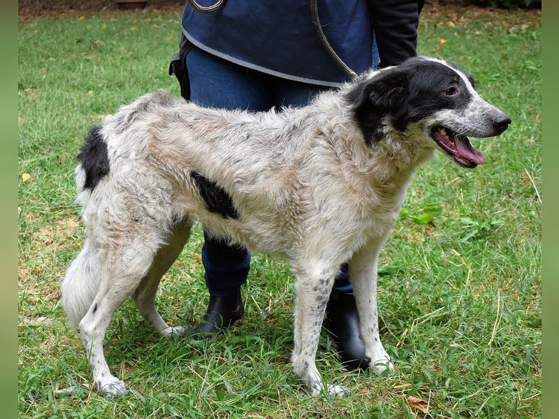 Jessie - Viel zu lange auf der Zuschauerbank