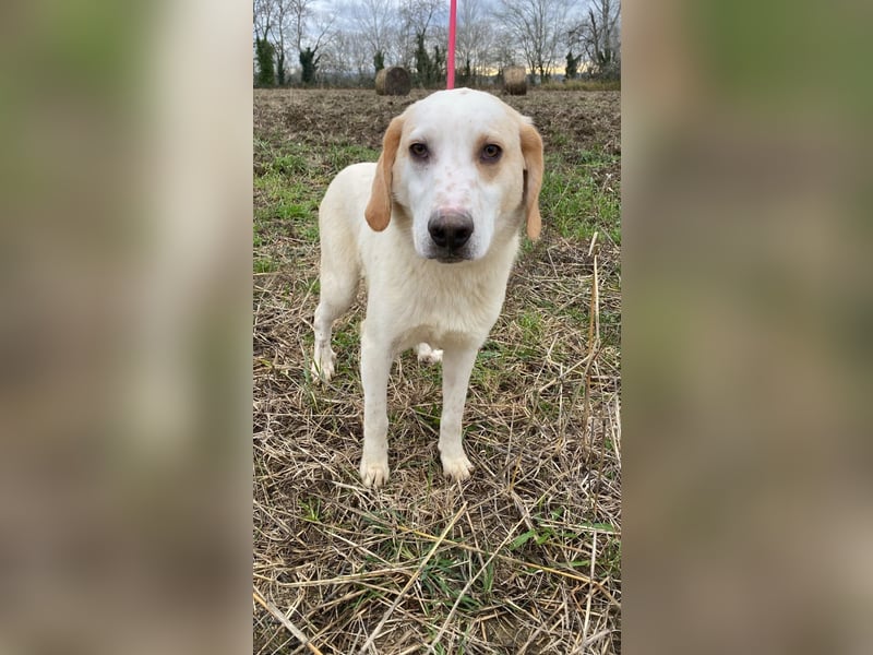 Deddy -  Mit neugierigen Pfoten ins Leben
