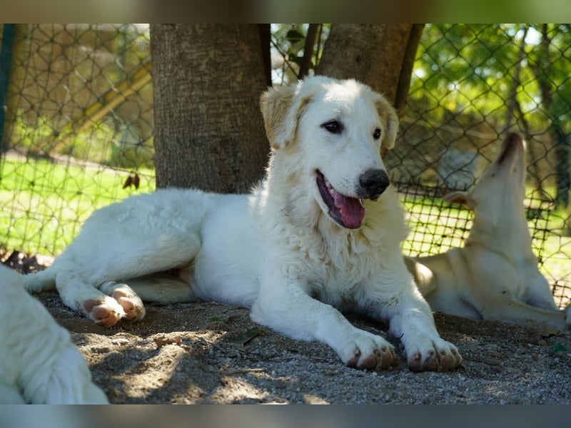 Tonia - Still, stark und voller Herz