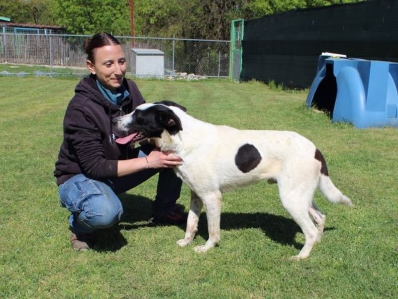 Florentino - Der hübscheste aller Batmans