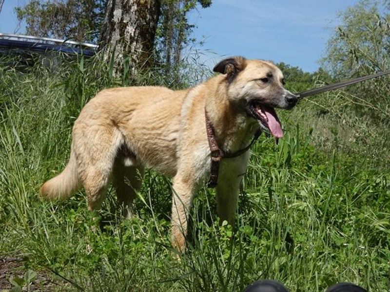 Life - Life will mehr vom Leben - und das zeigt er deutlich!