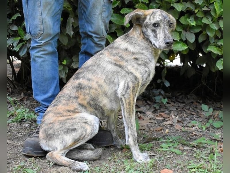 Uladine - hat alles verloren...