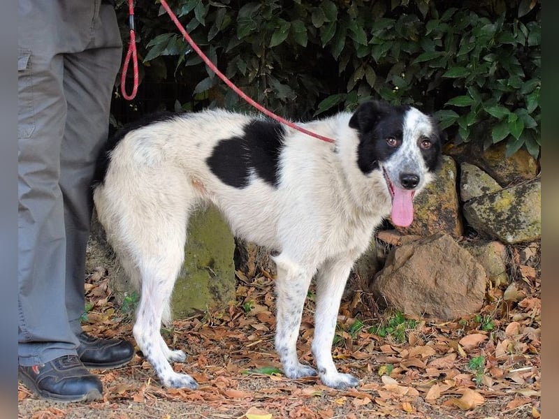 Jasmine - Wer nicht neugierig ist, erfährt nichts!