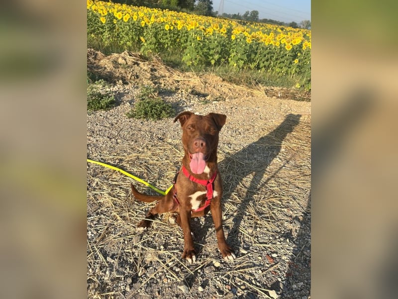 Birdy - Nähe, Liebe, Geborgenheit? das ist sein größter Wunsch