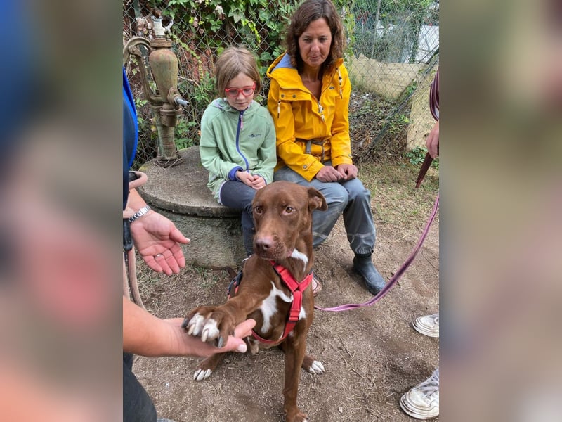 Birdy - Ich glaube, es wird Frühling