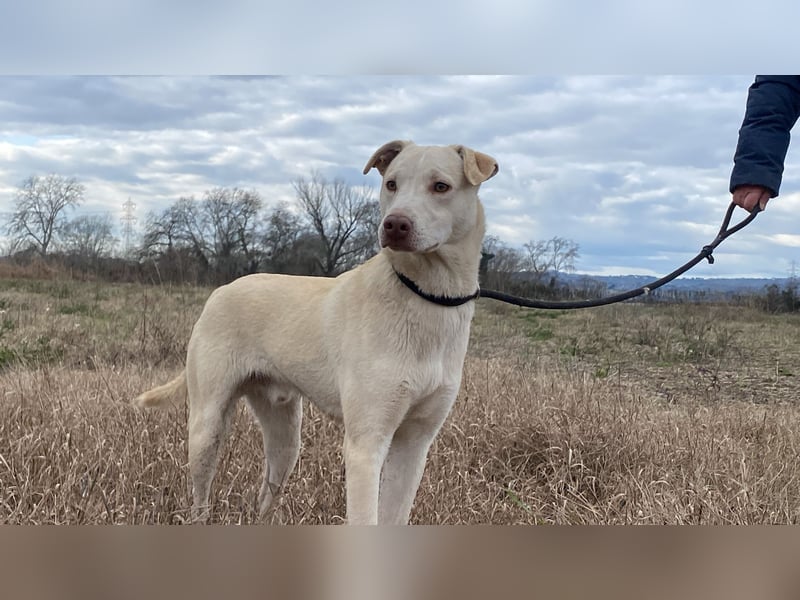 Titanio - er findet seinen Weg