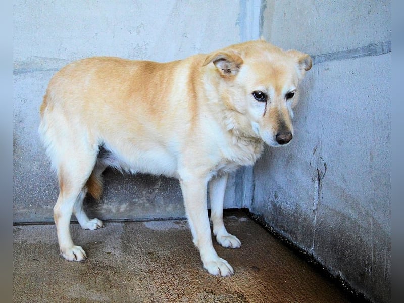 Addison - lange sitzen sie schon da und haben es schwer