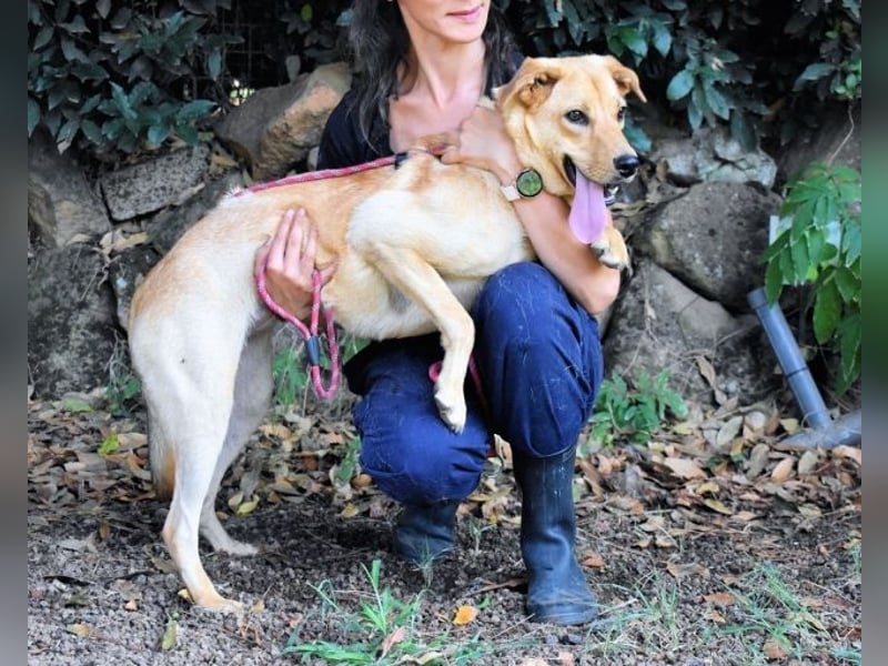 Lilyrose - als kleine Muschel ins Glück!