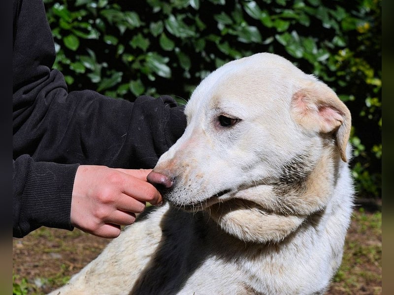 Shaydon - Ein riesiges Missverständnis!