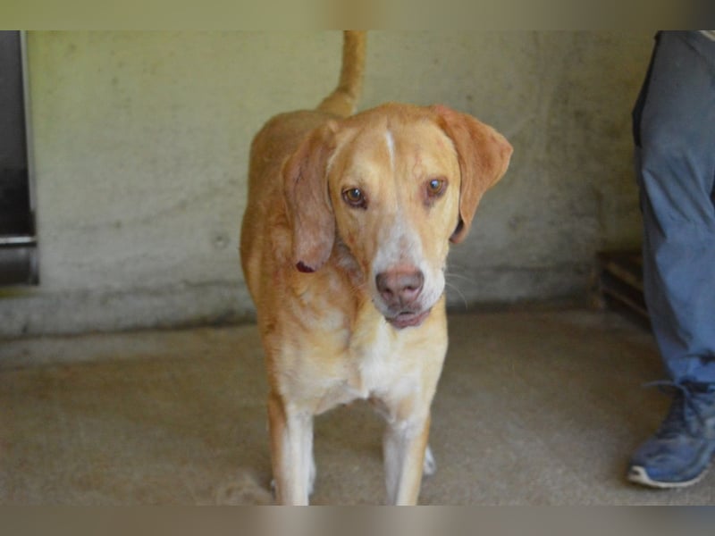 Dioneo - NOTFALL - Zeit heilt hier nichts