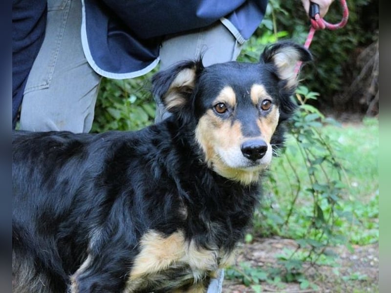 Daxter - wann darf sein Leben beginnen? Daxter - wann darf sein Leben beginnen?