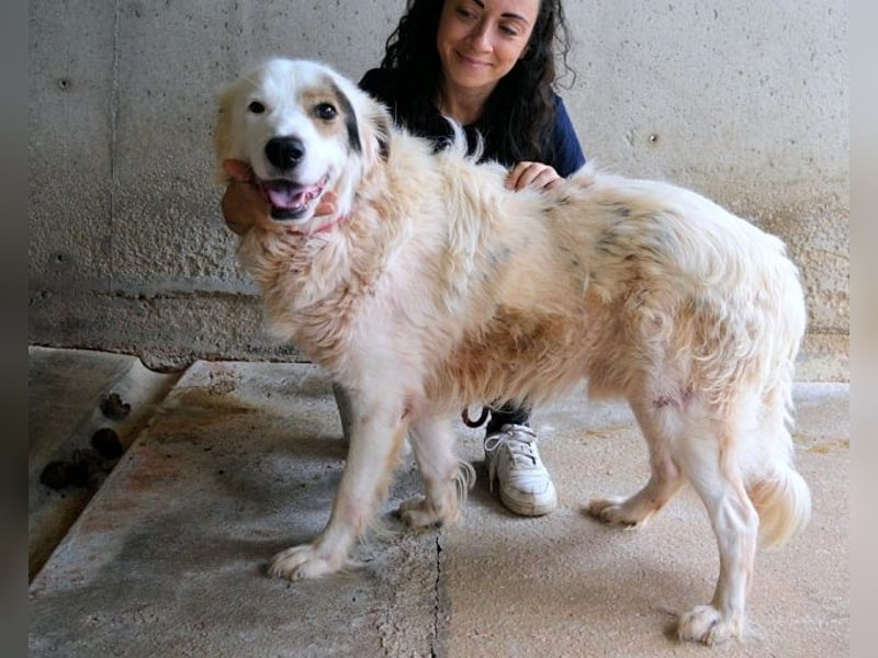 Bailoch - Zeig mir doch bitte...