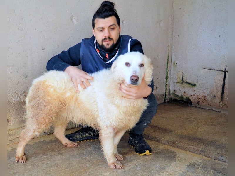 Abreena - Selbstbewusst, verspielt und voller Zuneigung