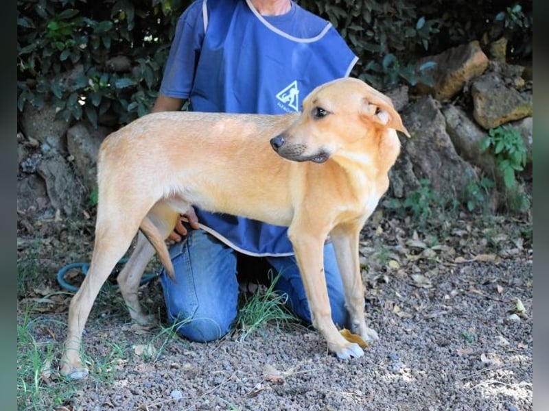 Ulbert - hat alles verloren