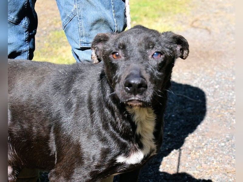 Rhino - NOTFALL !!! - Wenn man nicht auffällt, geht man unter