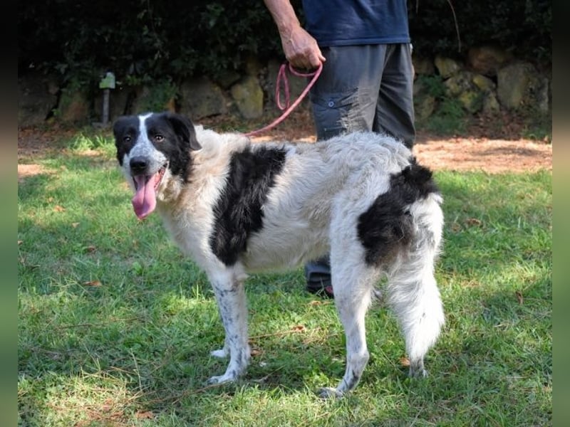 Jessie - Wer nicht neugierig ist, erfährt nichts