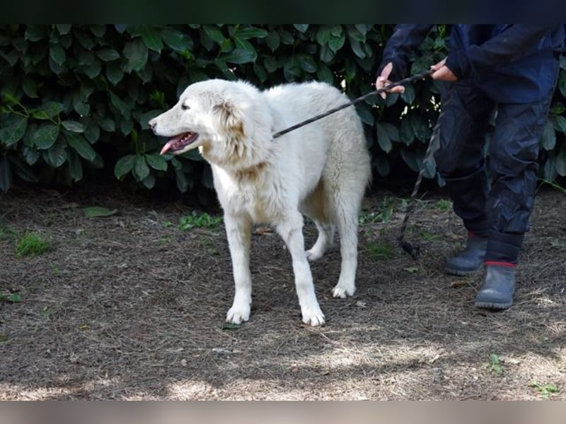 Florenz - bereit für das Abenteuer Leben