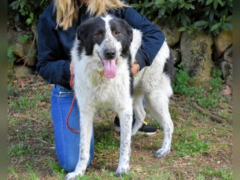 Jessie - Wer nicht neugierig ist, erfährt nichts