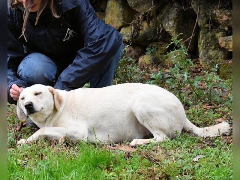 Hughie - macht ein Freundschaftsangebot