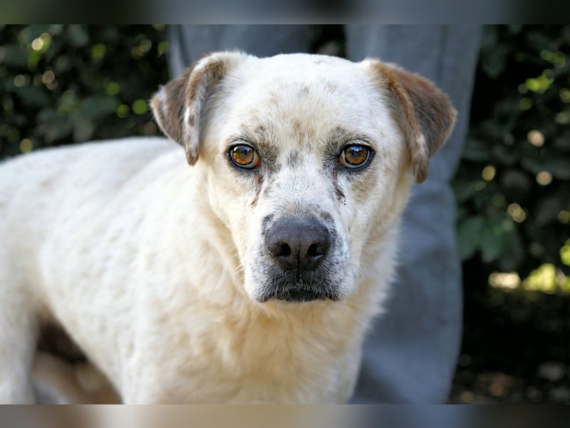 Jedd - Liebe auf den zweiten Stern
