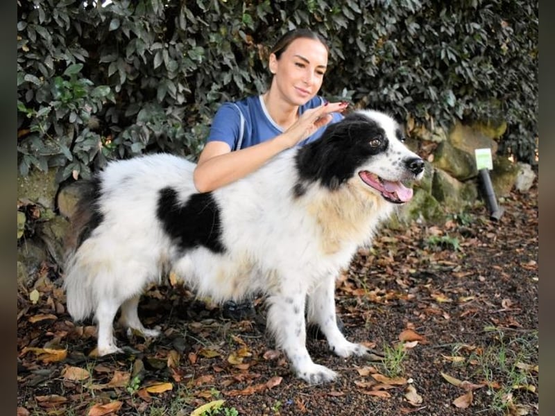 Puccie - unser liebes Mädchen...