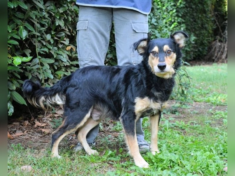 Daxter - wann darf sein Leben beginnen? Daxter - wann darf sein Leben beginnen?