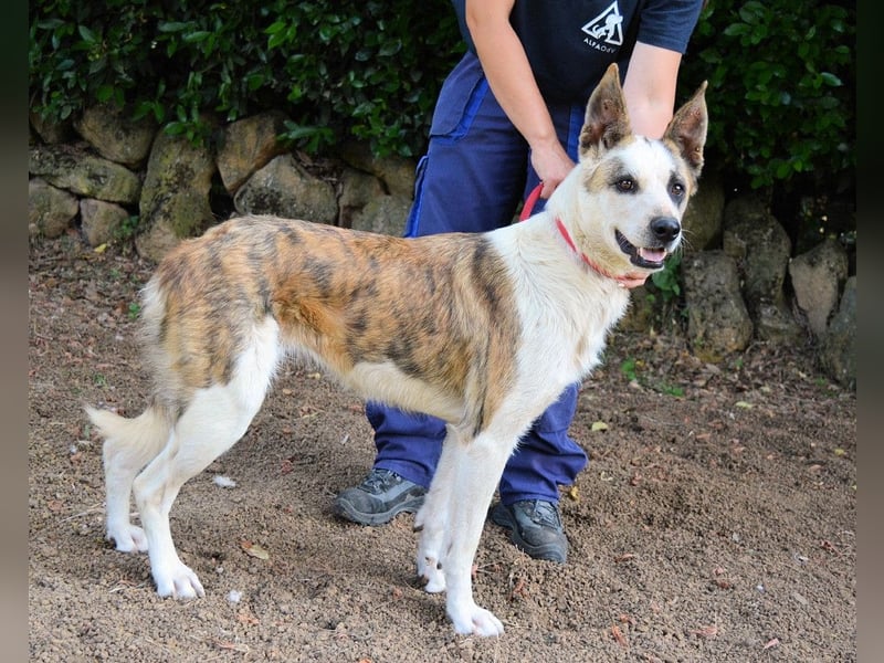 Milde - Ein Flüstern, das sagt: "Du bist sicher."