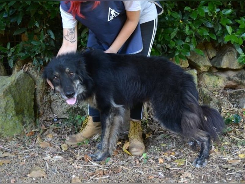 Pinot - "Unmöglich!" sagte die Tatsache... Pinot - "Unmöglich!" sagte die Tatsache...