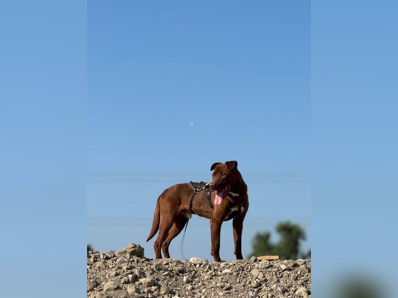 Birdy - Nähe, Liebe, Geborgenheit? das ist sein größter Wunsch
