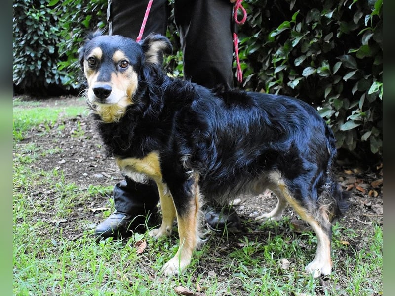 Daxter - Vollbremsung ins Leere