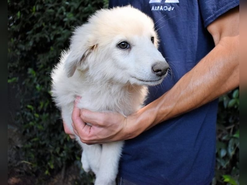 Florenz - bereit für das Abenteuer Leben