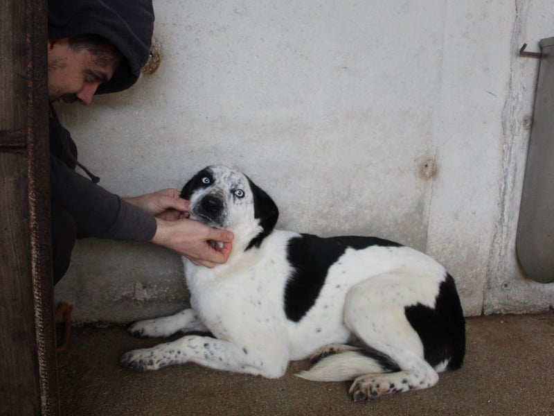 Nyxiel - Die schönsten Augen