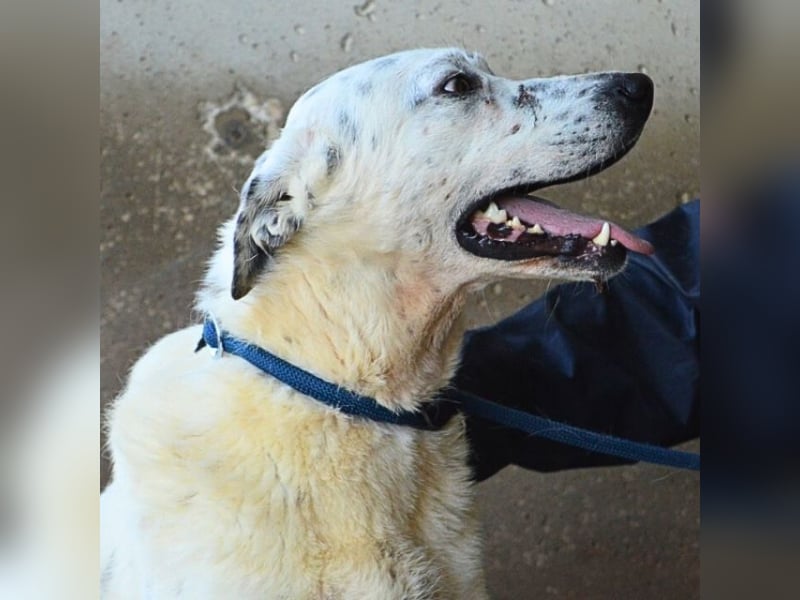 Arunny - aller guten Dinge sind drei