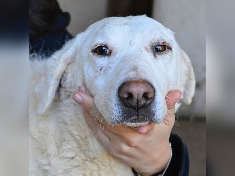 Arriel - aller guten Dinge sind drei