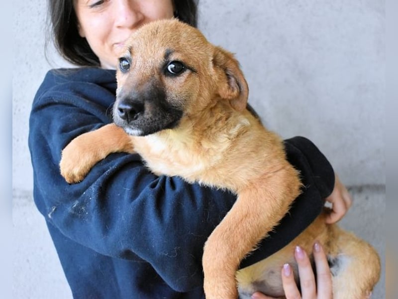 Mivelle - Es soll DEIN Leben werden