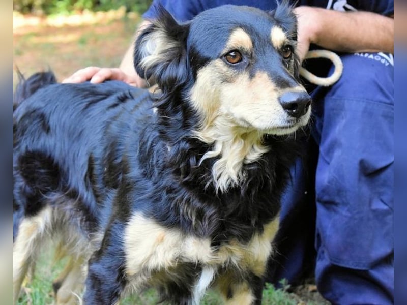 Daxter - wann darf sein Leben beginnen? Daxter - wann darf sein Leben beginnen?