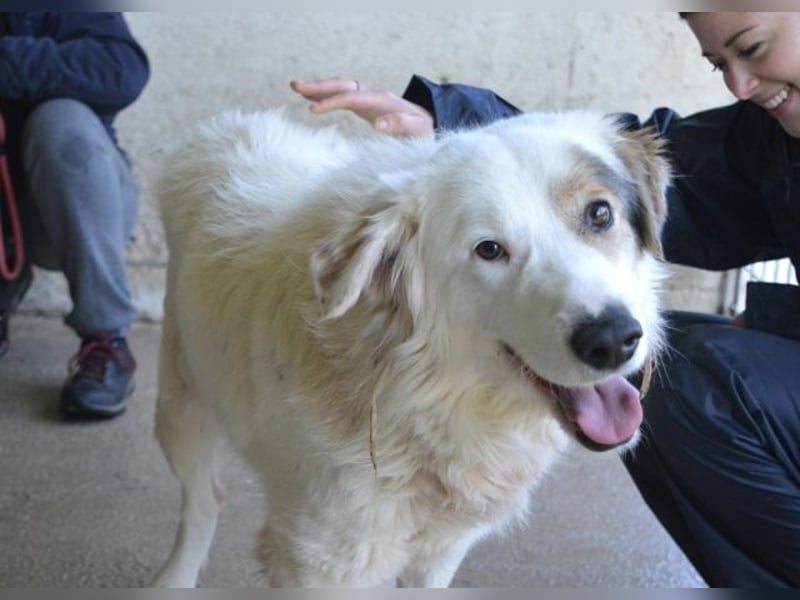 Bailoch - Zeig mir doch bitte...