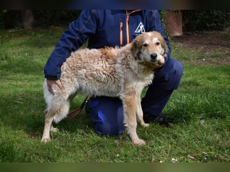 Ligorio - Zwölf, elf, zehn ... eins - Ligorio