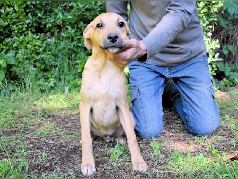 Ulbert - hat alles verloren