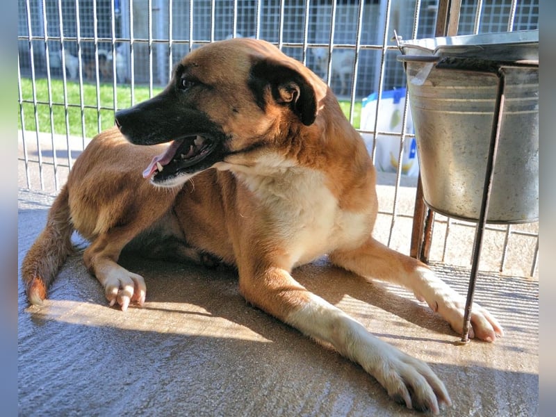 Sunitha - Drei Leben. Drei Chancen.