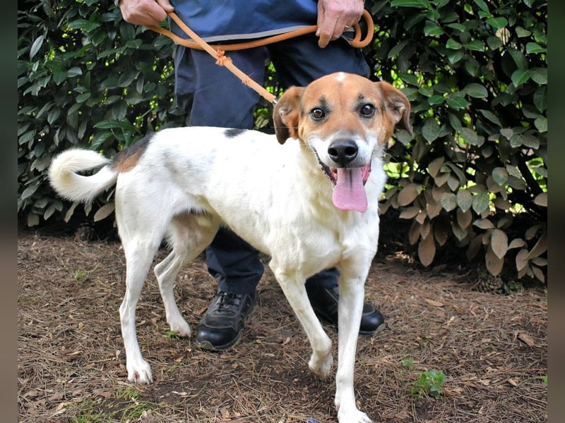 Kamyll - Der Platz neben dir