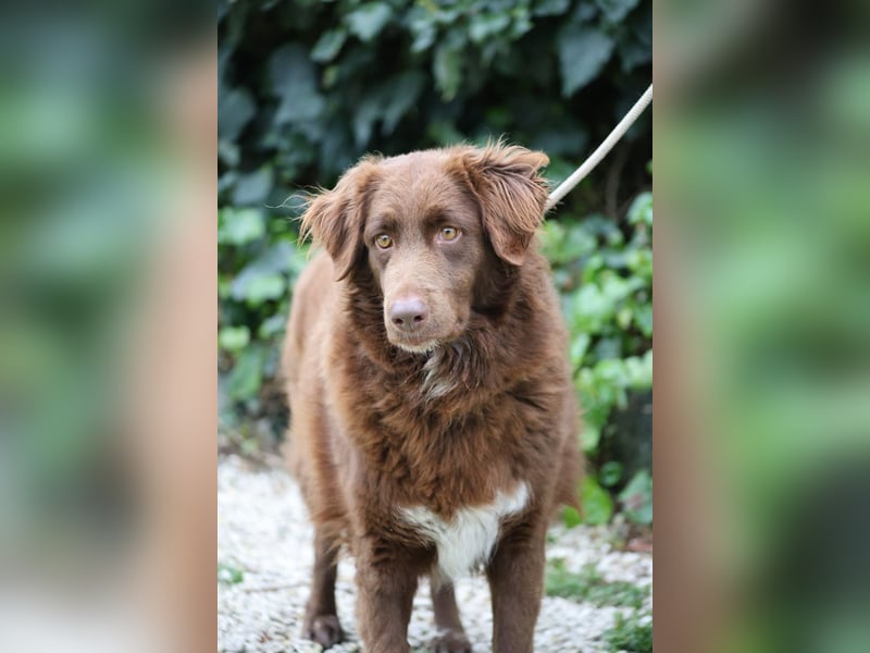 Beckey - Berufswunsch Prinzessin