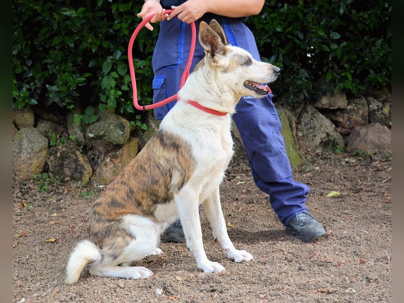 Milde - Ein Flüstern, das sagt: "Du bist sicher."