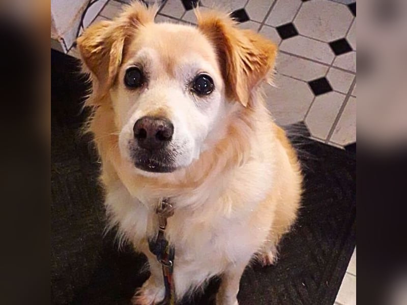 Alemix - Im zweiten Anlauf neuer Altersruhesitz gesucht